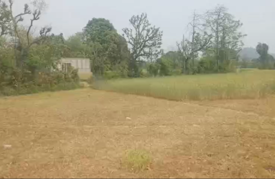 Land at Chak Bhagata